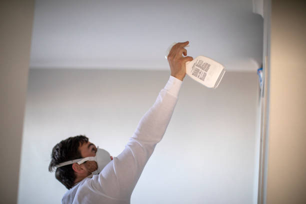 Best Mold Removal Near Me  in Depew, NY
