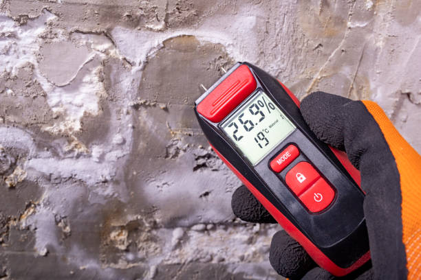 Best Home Mold Removal  in Depew, NY