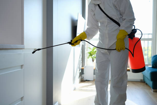Best Commercial Mold Removal  in Depew, NY