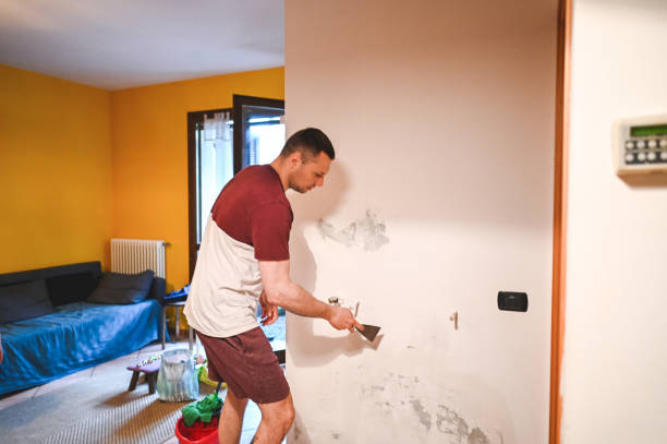 Best Local Mold Removal Service  in Depew, NY